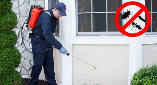 Tirebolu Kemirgen İlaçlama böcek ilaçlama ve haşere kontrolü — ilaclama-tr.com